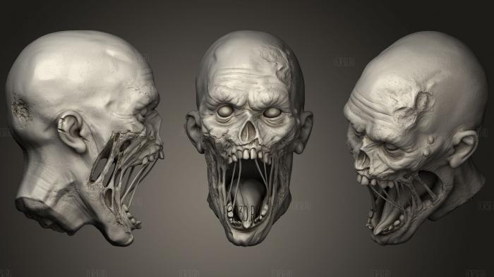 Zombie Head 1